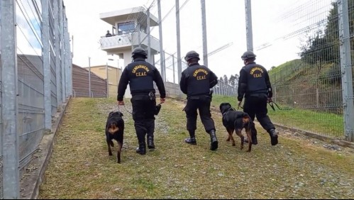 Detenido en pleno pelotazo: joven quiso lanzar celulares y droga a la cárcel pero ahora podría ingresar por microtráfico
