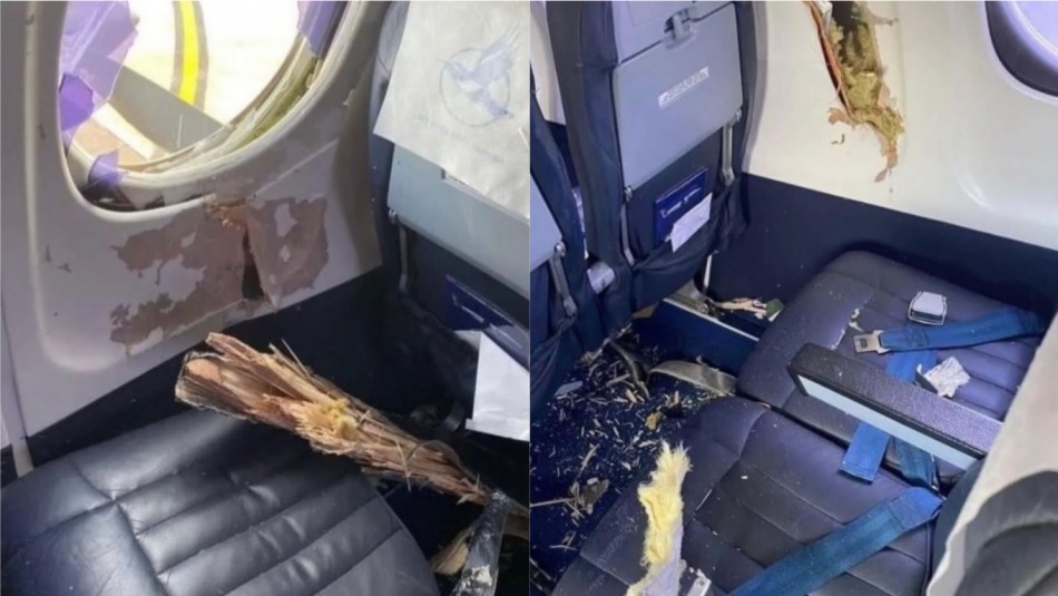 Choque entre avión y pájaro: Hélice se estrelló contra la ventana y aterrorizó a los pasajeros