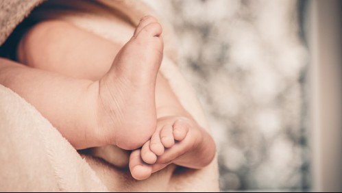 Encuentran un recién nacido en el basurero del baño de un avión: su madre lo tuvo durante el vuelo y lo abandonó