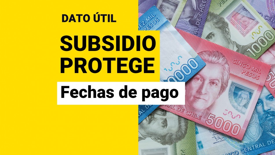 Subsidio Protege de Enero: ¿Cuándo pagan el aporte de 200 mil? Subsidio Protege de Enero: ¿Cuándo pagan el aporte de 200 mil?