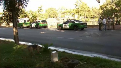 Encuentran cuerpo sin vida a orillas del río Mapocho en Providencia