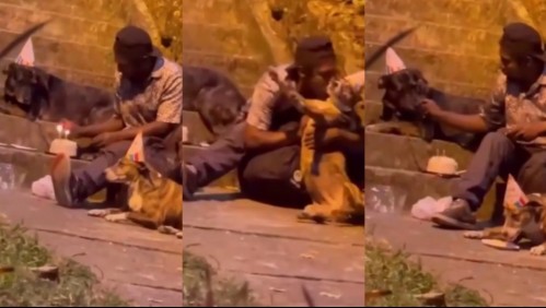 Persona en situación de calle celebra el cumpleaños de sus perritos con gorros y torta