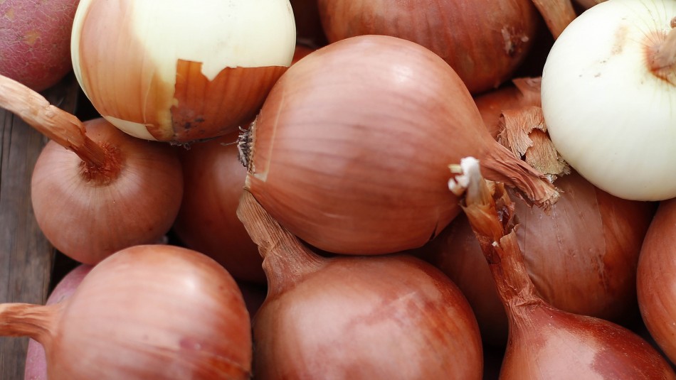 cebollas Cebollas