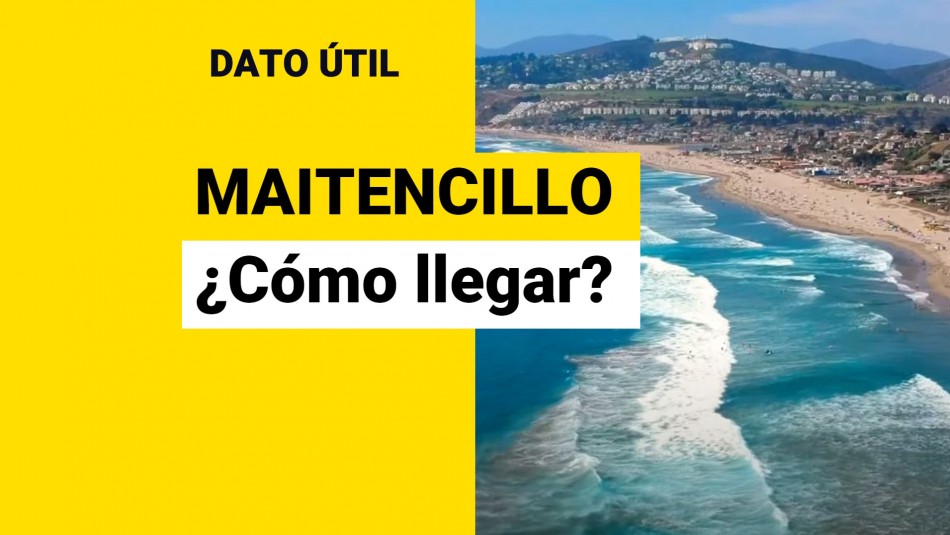 maitencillo maitencillo