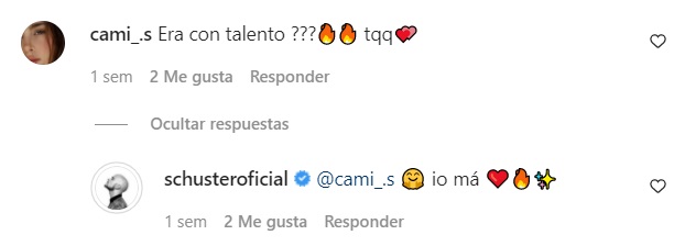 Comentario de Camila Sepúlveda