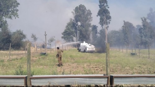 Alerta Roja por incendio forestal que amenaza a viviendas en Chillán
