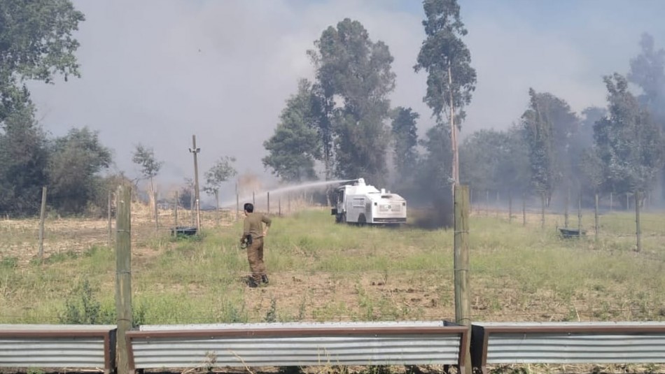 Alerta Roja por incendio forestal que amenaza a viviendas en Chillán Alerta Roja por incendio forestal que amenaza a viviendas en Chillán