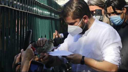 Presidente electo Gabriel Boric recibió particular visita: Le llevaron un pollo de raza ketro