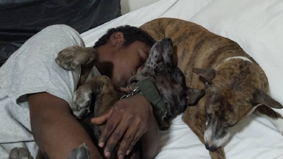 hombre-en-situacion-de-calle-celebro-cumpleanos-de-sus-perritos La inesperada ayuda que recibió hombre en situación de calle que se viralizó al celebrar cumpleaños de sus perritos