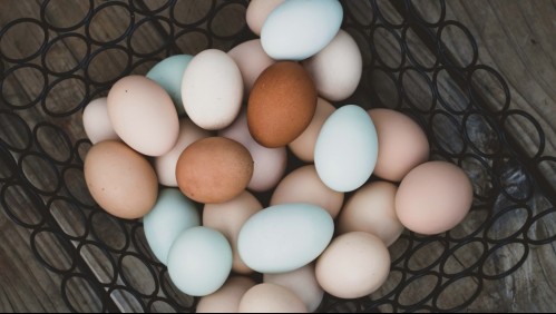 ¿En qué parte del refrigerador debería guardar los huevos? Pista, no es donde crees