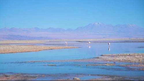 Los sorprendentes atractivos de San Pedro de Atacama | Mega Vacaciones