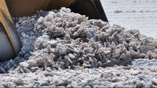 Gobierno por suspensión de licitación del litio: 'Responderemos con las herramientas y plazos que nos entrega la ley'