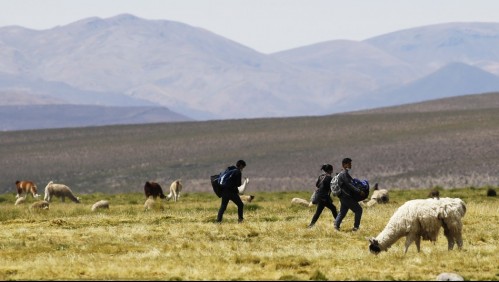 Llaman a reabrir Complejo Fronterizo de Colchane tras nueva muerte en la frontera con Bolivia