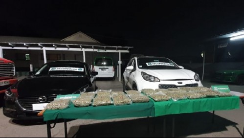 Detienen a banda que transportaba más de diez mil dosis de marihuana