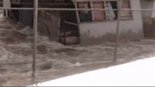 Videos registran el momento exacto en que tsunami impacta las costas de Tonga