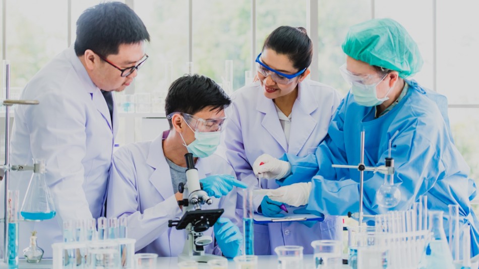 cientificos ientíficos revisando muestras de laboratorio