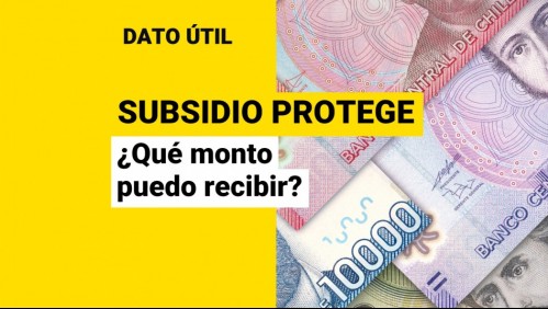 Últimos días para postular al Subsidio Protege en enero: ¿Cuánto dinero entrega el beneficio?