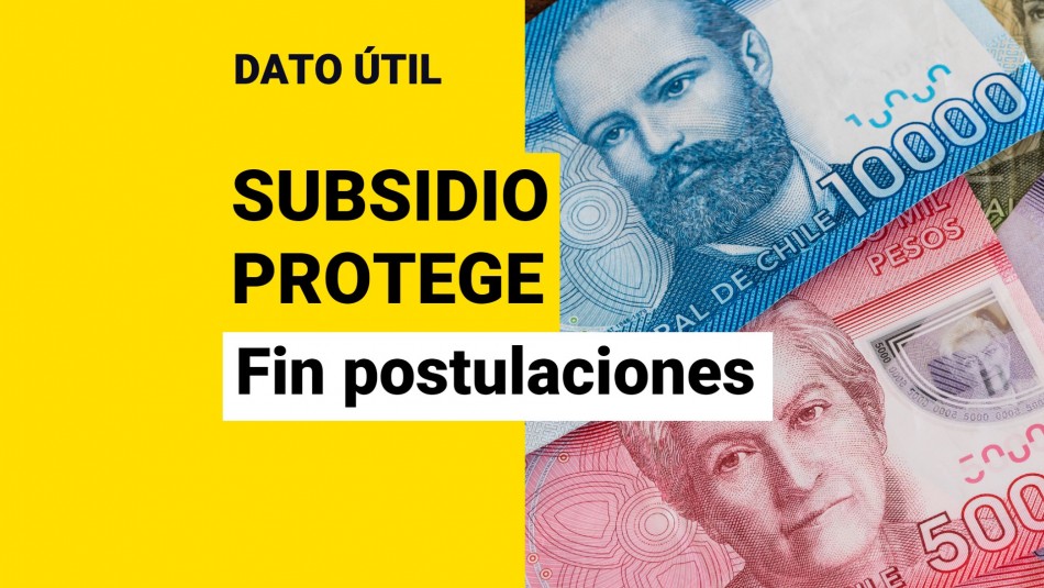 subsidio-protege subsidio protege