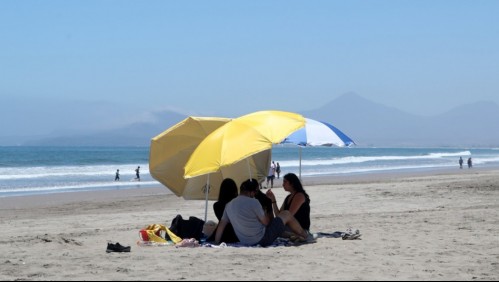 Reabren algunas playas de Coquimbo y La Serena por el nulo avistamiento de ejemplares de fragata portuguesa