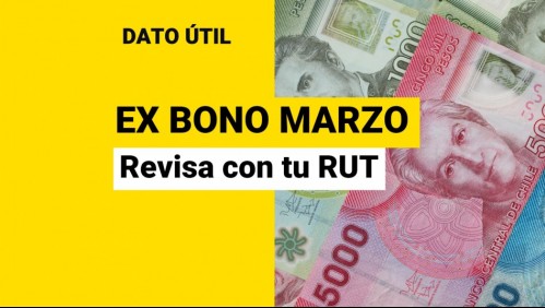 Ex Bono Marzo: Revisa con tu RUT si eres beneficiario