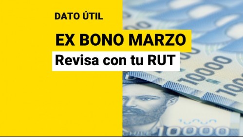 Ex Bono Marzo: Así puedes saber con tu RUT si eres beneficiario