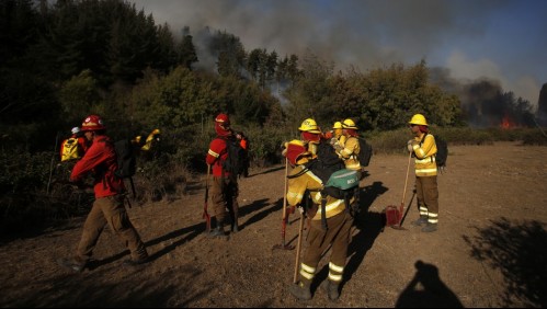 'Presenta avance rápido y se encuentra cercano a sectores habitados': Alerta Roja en Valparaíso por incendio forestal