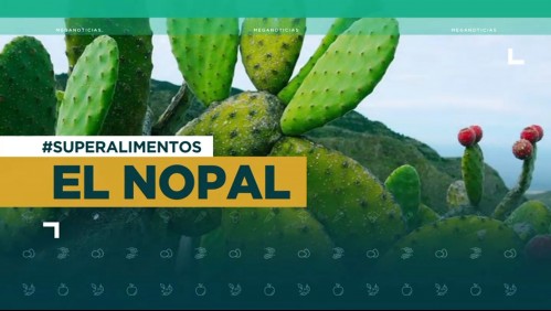 Superalimentos: Las propiedades de control de peso del cactus Nopal