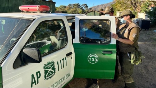 Detienen a hombre por su presunta responsabilidad en incendio forestal en sector Laguna Verde de Valparaíso