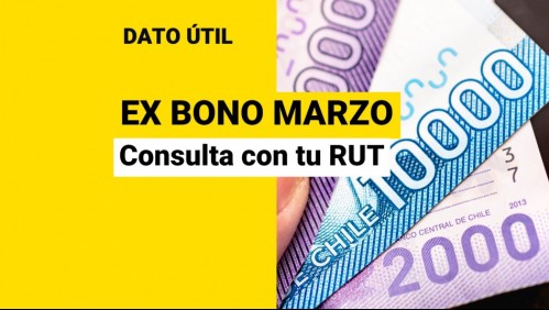 Ex Bono Marzo: Conoce con RUT si recibes los pagos