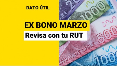 Ex Bono Marzo: Revisa con RUT si recibirás el pago