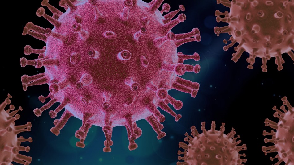 ¿Qué significa que el coronavirus se vuelve endémico?