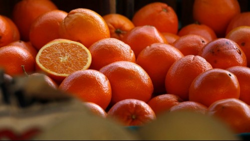 'Es inevitable': frutas presentan una fuerte alza en sus precios debido a la crisis hídrica