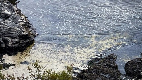 Recomiendan no ingresar a playas de Lota por 'coloración inusual en las aguas'