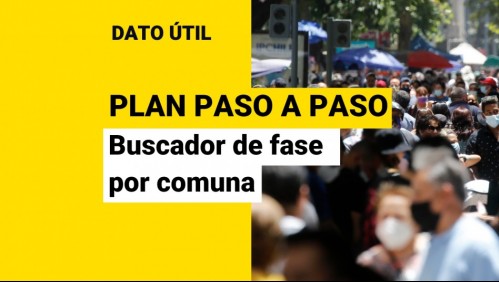 Plan Paso a Paso: Conoce aquí en qué fase está tu comuna