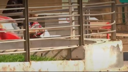 Fiscal de Curacaví por líder narco: 'Según la clínica el imputado estaba en condiciones de ser trasladado'