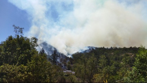 Incendio forestal afecta a la comuna de Casablanca