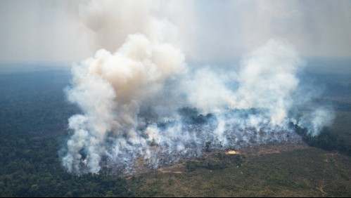 Abarcan área similar a la de París: Bogotá en 'alerta ambiental' por incendios en la Amazonía