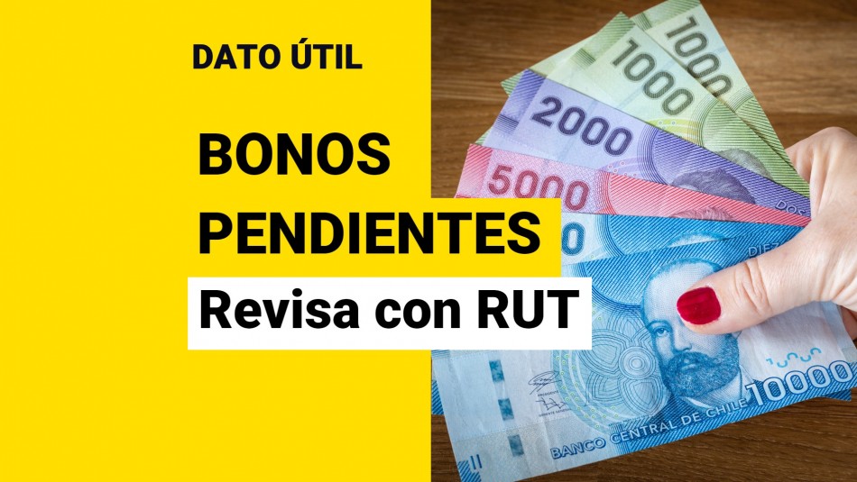 Bonos pendientes de pago Revisa con tu RUT si tienes beneficios por