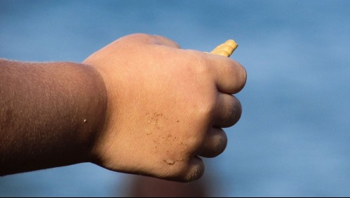 Niña de dos años muere al ingerir galleta envenenada destinada a matar a su perro