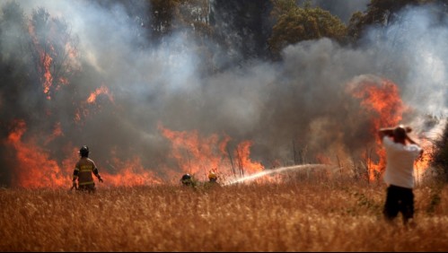 Onemi declara alerta roja por incendio forestal que amenaza a viviendas en Osorno