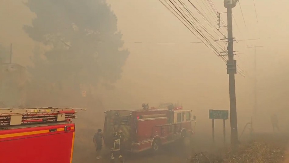 Alerta Roja por incendio forestal en Collipulli: Fuego amenaza a viviendas del sector de viaducto Malleco