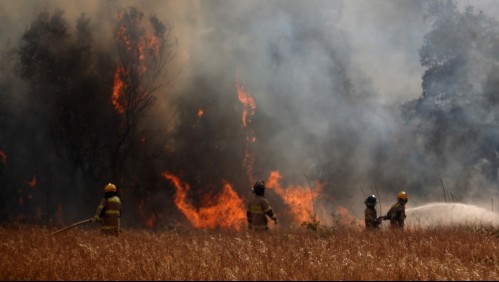 'Mantén la calma': Onemi activa evacuación en sector de Los Ángeles por incendio forestal