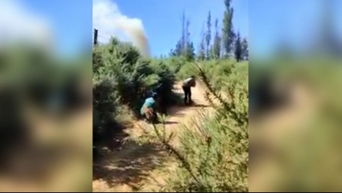 Reportan dos carabineros heridos durante enfrentamiento a disparos en La Araucanía
