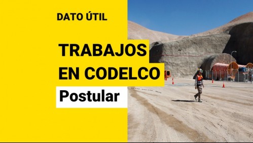 Codelco busca trabajadores: Conoce las ofertas laborales y cómo postular