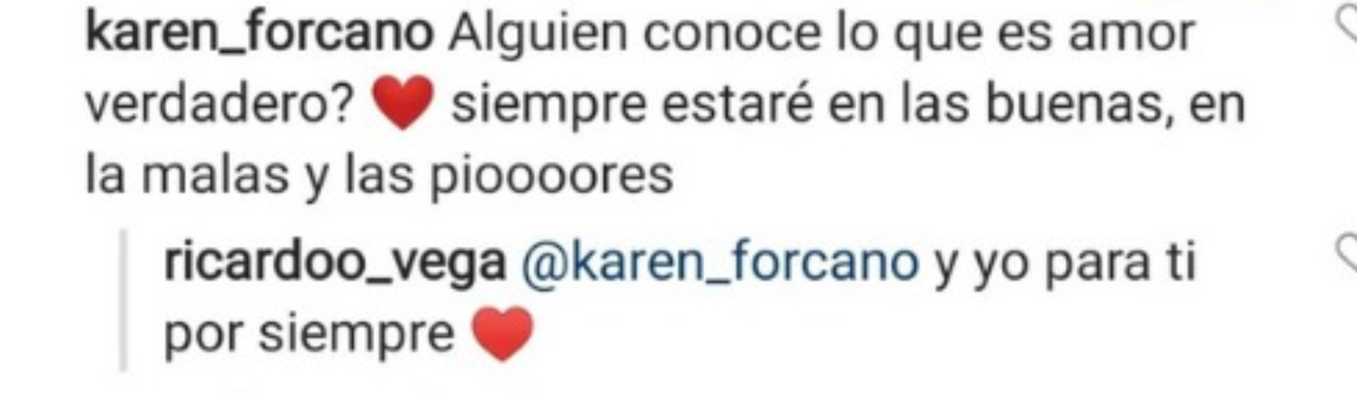 Comentario de Karen Forcano a Ricardo Vega