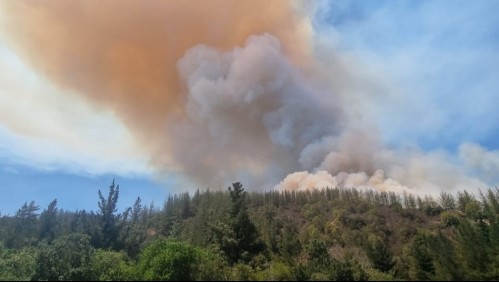 Incendio forestal afecta a comuna de Casablanca a un costado de la Ruta 68