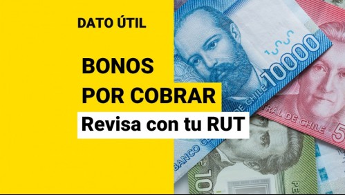 Bonos pendientes: Conoce con tu RUT si tienes beneficios por cobrar en febrero