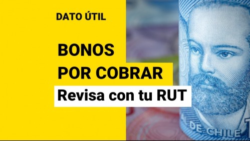 Bonos pendientes: Revisa con tu RUT los beneficios que tienes por cobrar en febrero