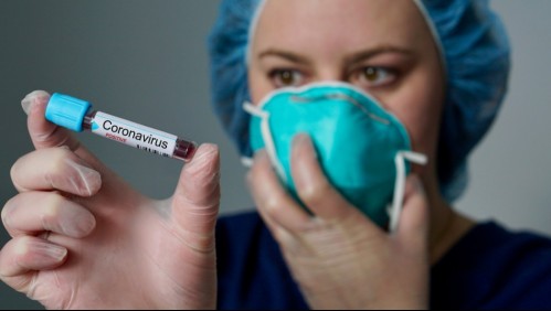 Coronavirus y murciélagos: Encuentran nuevas pistas sobre el origen de la pandemia