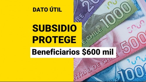 Últimos meses para postular al Subsidio Protege: ¿Qué trabajadores recibirán $600 mil?